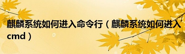 麒麟系统进入命令行界面方法