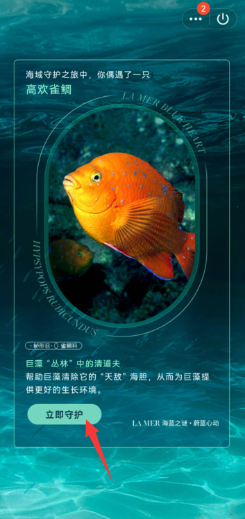 QQ怎么参与守护海洋生物活动