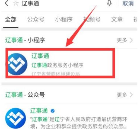 辽事通怎么查孩子的核酸检测报告