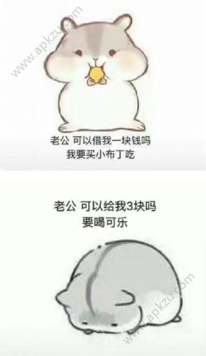 小仓鼠要钱表情包大全图片