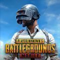 pubg绿体文件包2.9最新版