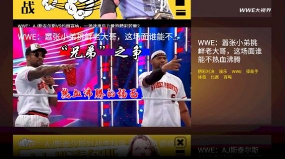 wwe大视界体育app最新版图片1