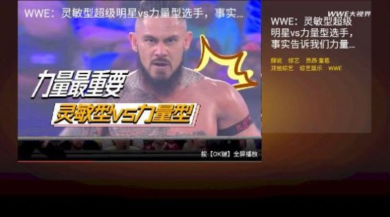 wwe大视界体育app最新版