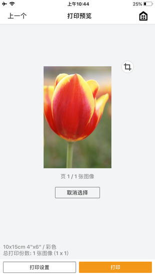 佳能打印app