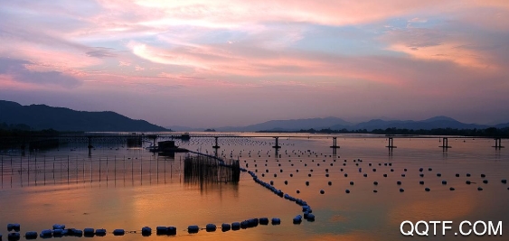 惠东同城快递平台