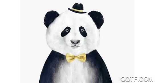 熊猫绘画2.0版本