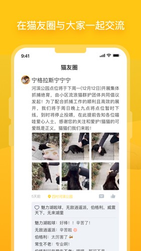 哈啰街猫下载app