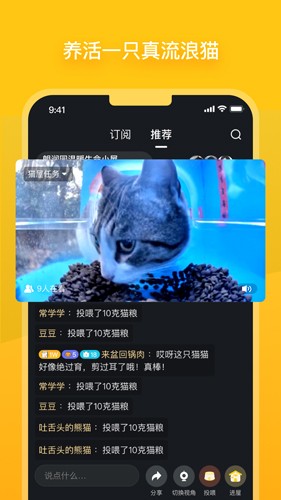 哈啰街猫下载app