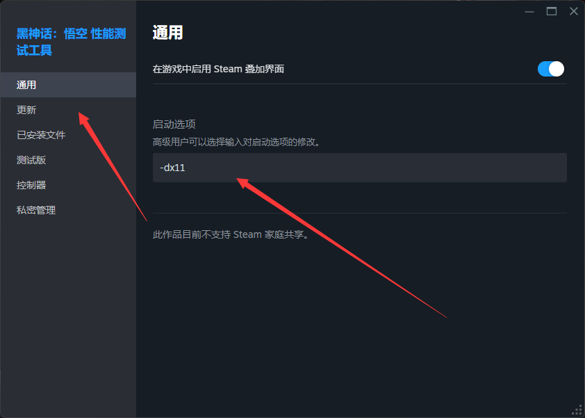 Steam启动选项设置图2