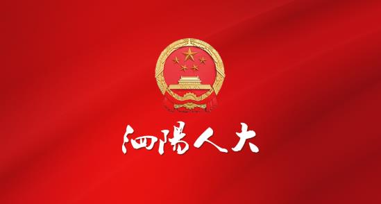 宿迁泗阳人大app安卓版