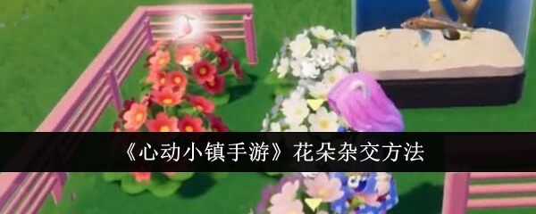 心动小镇手游花朵怎么杂交 心动小镇手游花朵杂交方法