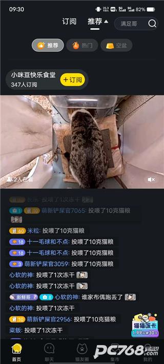 哈罗街猫