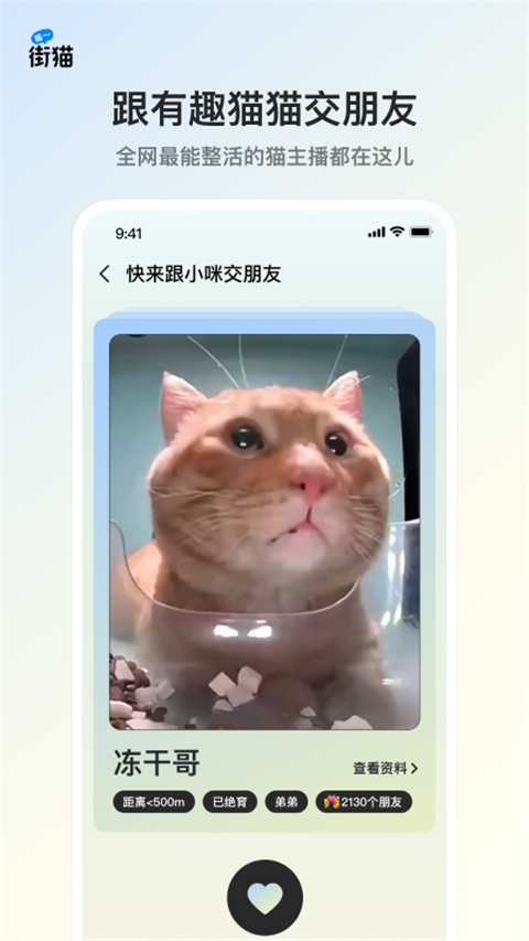 街猫app2024下载安卓版