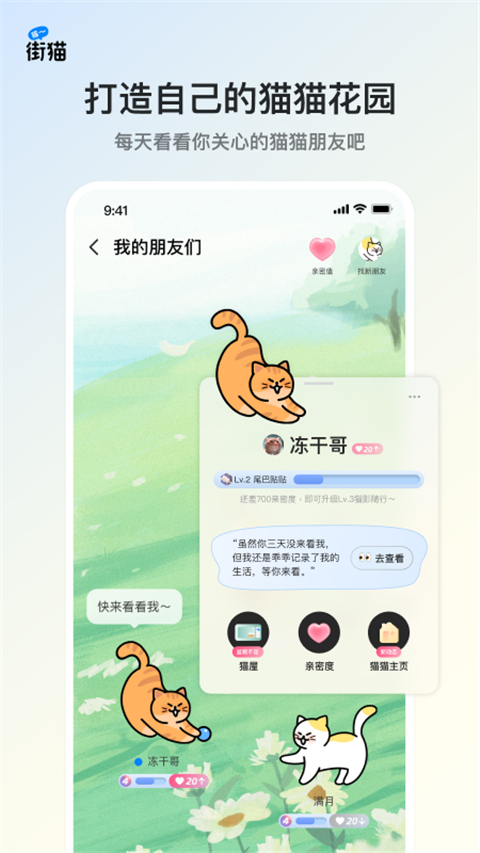 街猫app2024下载安卓版