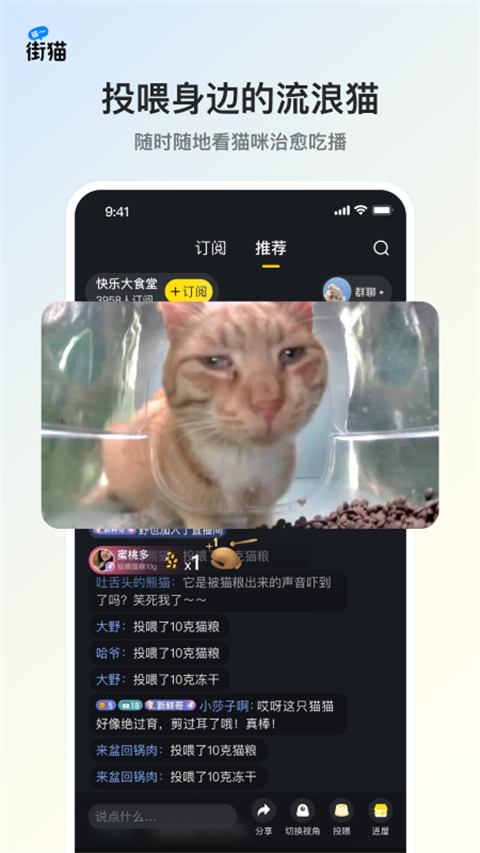 街猫app2024下载安卓版