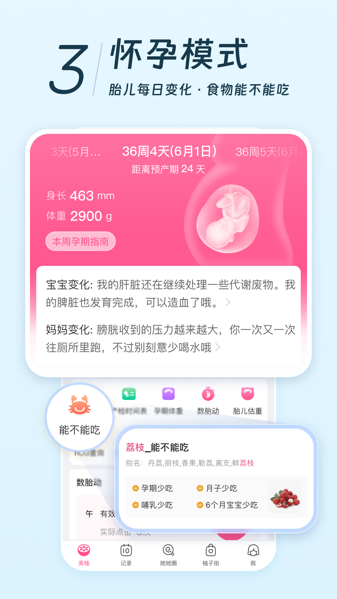 美柚app